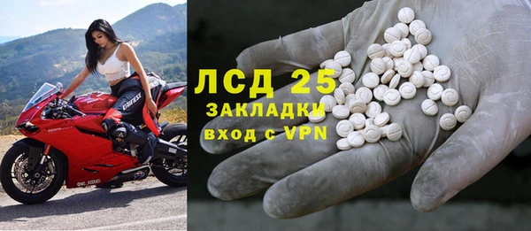 сатива Алзамай