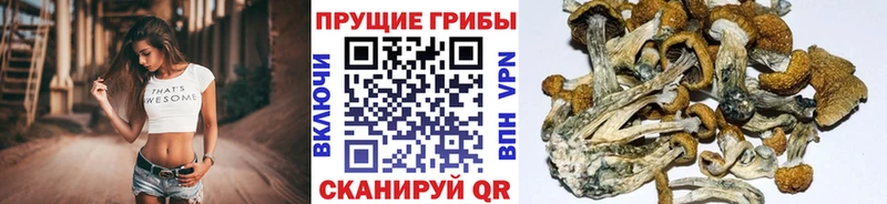 Псилоцибиновые грибы Magic Shrooms Нижнекамск